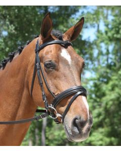 KL Italia Pirouette Padded Dressage Bridle w/ Flash Crank