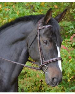 Black Oak Fancy Raised Padded Cyprus Bridle w/ Padded Crown & Fancy Laced Reins