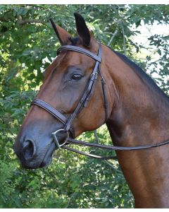 Black Oak Fancy Square Raised Spruce Bridle