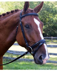 Black Oak Juniper Dressage Bridle with Flash Caveson