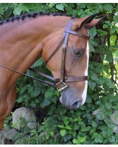 Foxtrot Flat Hunt Bridle with 3/4" Flat Laced Pin Reins