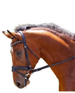 Black Oak Daphne Dressage Bridle With Reins