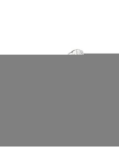 Vagabond House Turkey Salt & Pepper Shaker