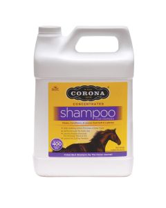 Corona Concentrated Shampoo Gallon