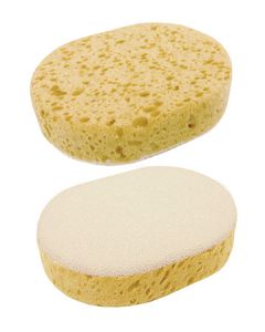 Medium Scrub Sponge