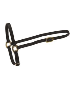 Perri's Nylon Grooming Halter