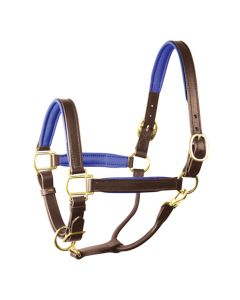 Perri's Soft Padded Leather Halter