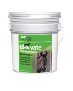 Elevate Maintenance Powder 10lb