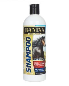 Banixx Shampoo 16oz