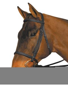 Wintec Bridle Without Reins