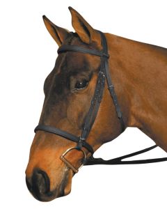 Wintec Bridle Without Reins