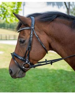 HDR Diamonte Dressage Bridle