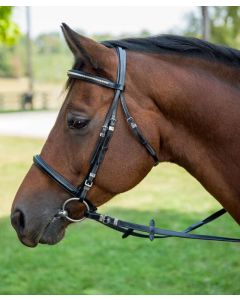 HDR Clincher Dressage Bridle W/ Reins