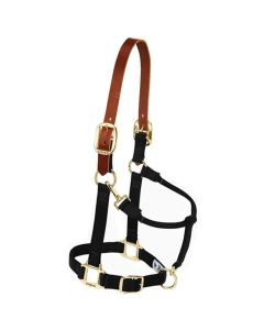 Weaver Original Nylon Halter w/ Leather Crown