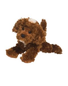 Douglas Bosco Choco Labradoodle