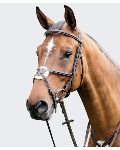 Prestige Fancy Padded Figure 8 Bridle (Reins Sold Seperately)