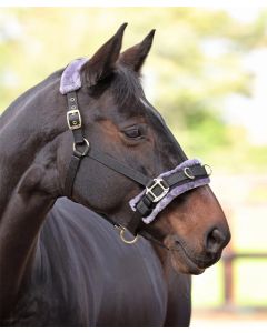 Shires Fleece Lined Lunge Caveson - Headpiece Fleece Lined Completely