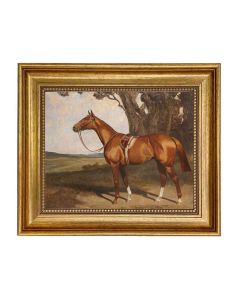 Madison Bay Co. Saddle Chestnut Racehorse Framed Painting Print on Canvas - 8X10