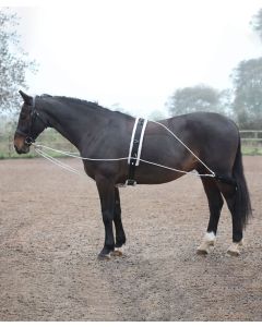 Shires Lunging Aid System