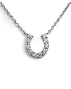 Loriece Horseshoe Necklace With Cubic Zirconiums