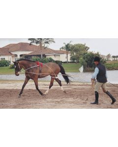 Pessoa Lunging System