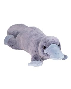 Douglas Toy Allie Soft Platypus