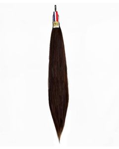 Champion Double Horse Tail (Black or Chestnut)