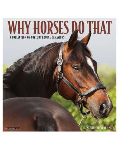 Willow Creek Press 2026 18-Month Wall Calendars (12" X 12")