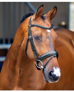 Shires Lusso Dressage Flash Bridle