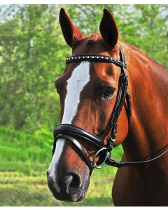 Cadence Dressage Bridle with Tapered Flash Crank Noseband & Crystal Browband