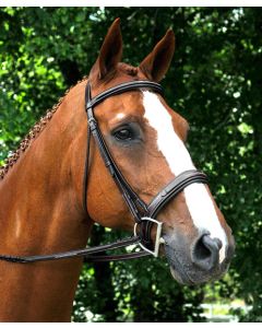 Red Barn Tryon Square Raised Padded Hunter Bridle