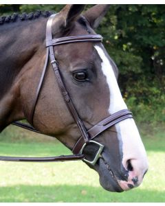 Red Barn Sonoma Bridle