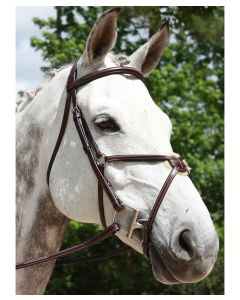 Red Barn Equinox Figure 8 Bridle