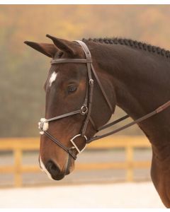 Black Oak Cedar Padded Fancy Raised Figure 8 Bridle with Raised Reins