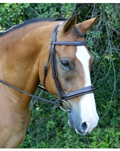 Ocala Tapered Fancy Raised Padded Bridle with Unicrown Headstall