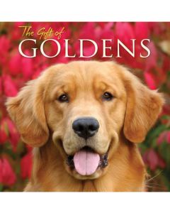 Book: The Gift Of Goldens