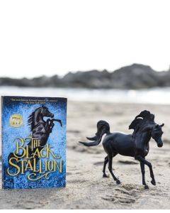 Breyer Black Stallion Horse & Book Set