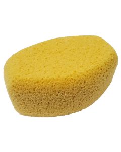 Jack's Hadera Premium Oval Tack Sponge