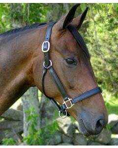 Red Barn Double-Stitched & Padded Kelly Show Halter