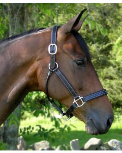 Red Barn Triple-Stitched & Padded Tina Show Halter