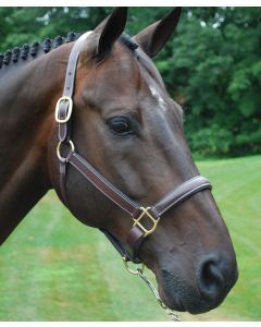 Red Barn Padded Kate Show Halter