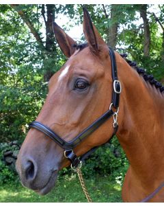 Red Barn Devon Ergonomic Halter