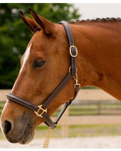 KL Select Black Oak Fern Fancy Raised Padded Halter