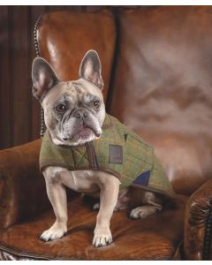 Shires Digby & Fox Tweed Dog Coat