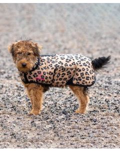 Digby & Fox Leopard Print Dog Coat