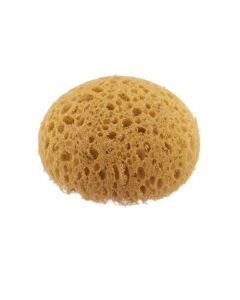 Round Hydra Tack Sponge Medium 4.5" - 5"