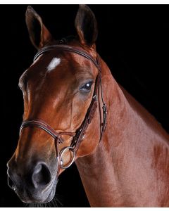 Collegiate Comfitec Fancy Raised Padded Bridle