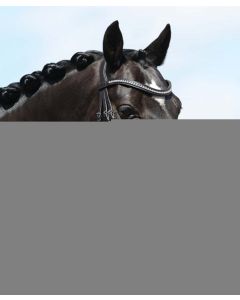 Passierblu Spirit Snaffle Padded Bridle W/ Flash & Crystal Browband