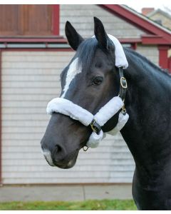 Shires Supafleece 6 Piece Halter Fleece Set