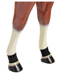 Neoprene Pastern Boot